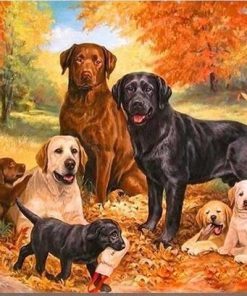 Labrador Dog paint by numbers