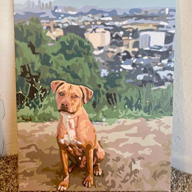 paint by numbers custom photo dogs