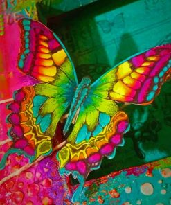 Colorful Butterfly Paint by numbers