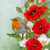 Bird On Poppy Flowers Paint by numbers