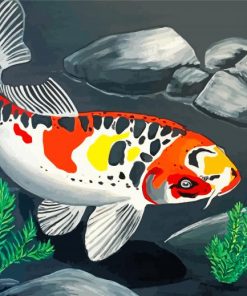 Koi Carp Fish Paint by numbers