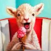 Lamb Eating Ice Cream Paint by numbers