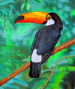 Tropical Toucan Paint by numbers