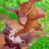 cats-fighting-paint-by-number