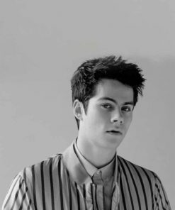 monochrome-dylan-o-brien-paint-by-number