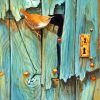 Bird On Door Paint by numbers