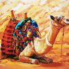 Desert Camel Paint by numbers