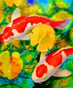 Koi Fish In Pond Paint by numbers