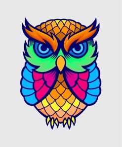 colorful-owl-(1)-paint-by-numbers