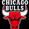 Chicago-Bulls-logo-paint-by-number