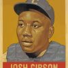 Josh Gibson Baseball Paint by numbers