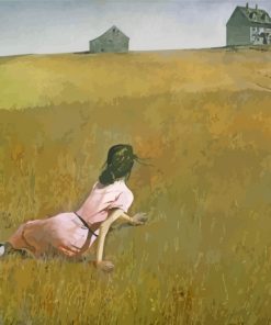 andrew-wyeth-girl-in-field-paint-by-numbers