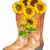 cowboy-boots-with-flowers-paint-by-numbers