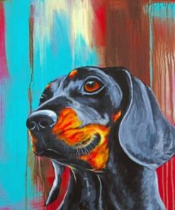 Dachshund Dog paint by numbers