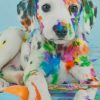 Colorful Dalmatian