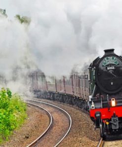 Flying Scotsman Paint by numbers