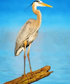 heron-paint-by-numbers