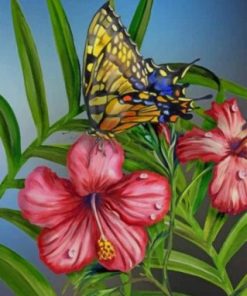 Hibiscus Butterfly Paint by numbers