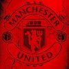 Manchester United Paint by numbers