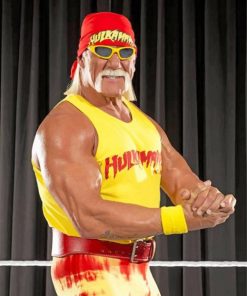 wrestler-hulk-hogan-paint-by-numbers