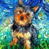 Yorkshire Terrier Paint by numbers