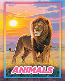 Animals