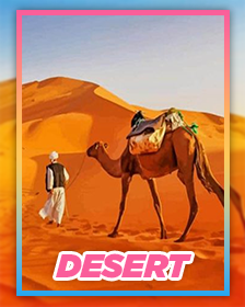 Deserts