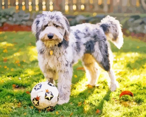 Aussiedoodle Playing Paint By Numbers