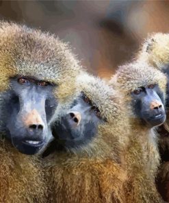 Baboons Family Paint By Numbers