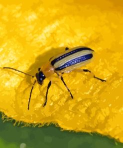 Beetle On Leaf Paint By Numbers