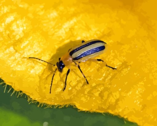 Beetle On Leaf Paint By Numbers