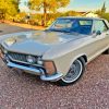 Beige Buick Riviera Paint By Numbers