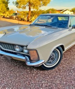 Beige Buick Riviera Paint By Numbers