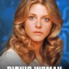 Bionic Woman Paint By Numbers