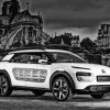 Citroen Cactus Paint By Numbers