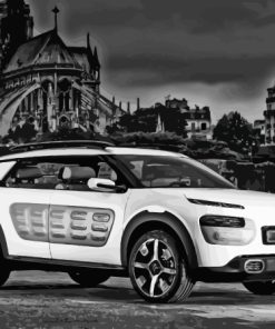 Citroen Cactus Paint By Numbers