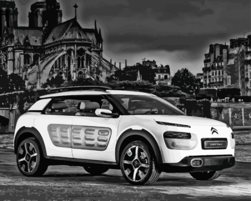 Citroen Cactus Paint By Numbers