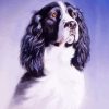 Spaniel Art Paint By Numbers