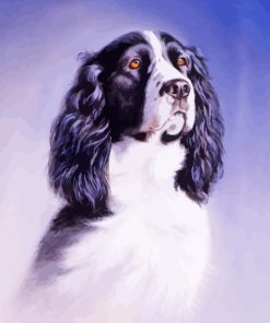 Spaniel Art Paint By Numbers