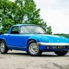 Blue Lotus Elan Paint By Numbers