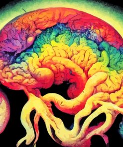 Brain Art Paint By Numbers