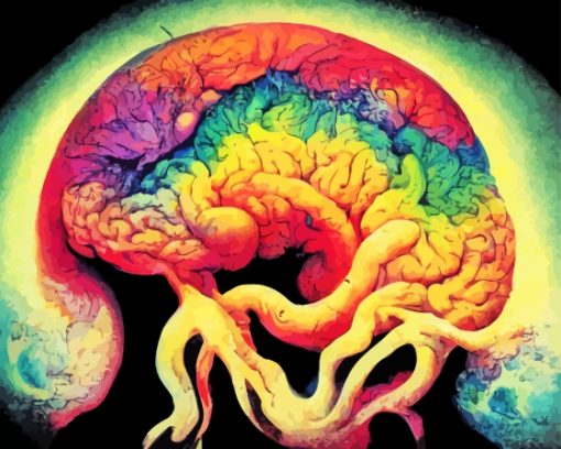 Brain Art Paint By Numbers