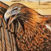 Wedge Tailed Eagle Paint By Numbers