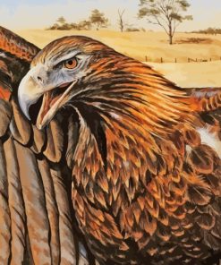 Wedge Tailed Eagle Paint By Numbers