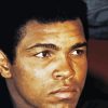 Mohamed Ali Paint By Numbers