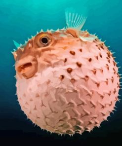 Puffer Fish Paint By Numbers