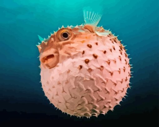 Puffer Fish Paint By Numbers