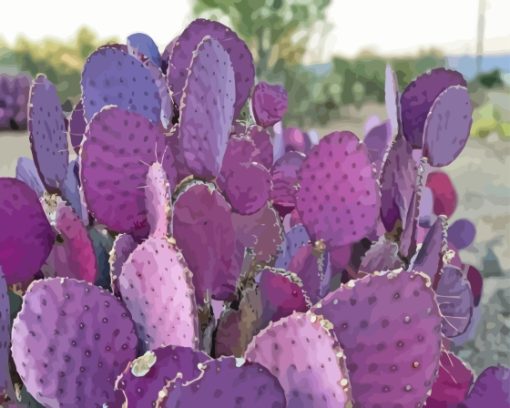 Cactus Plant Paint By Numbers