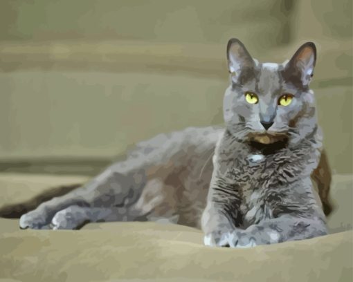 Grey Kitty Paint By Numbers