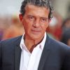 Antonio Banderas Paint By Numbers